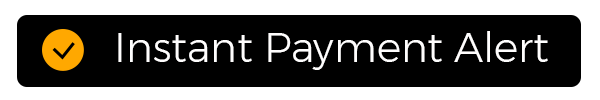 Instant Payment Alert